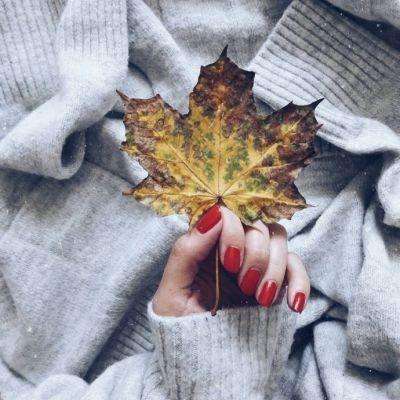 云开·全站APP下载