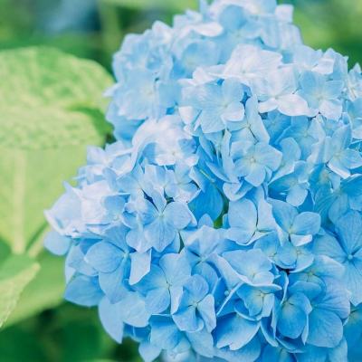 PG电子游戏下载